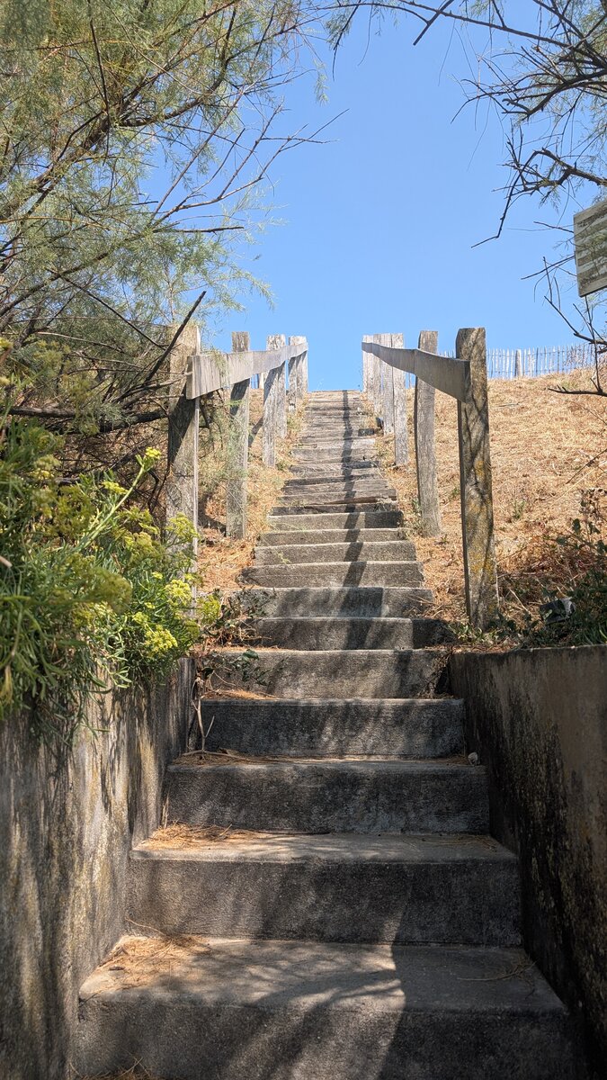 Escalier montant entre les arbres vers le ciel