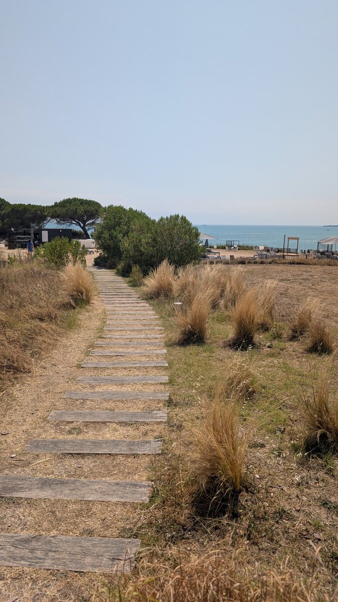 Sentier de bois traversant les herbes vers la plage