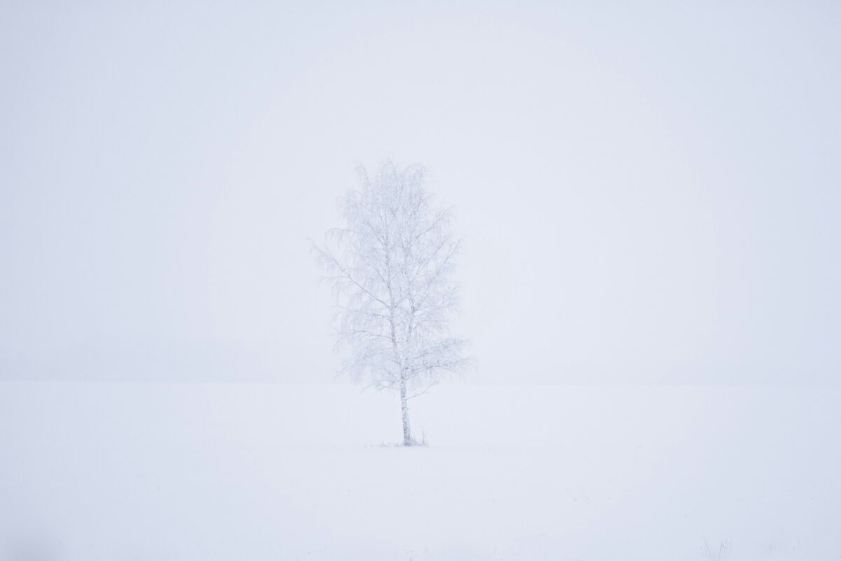 Paysage hivernal apaisant