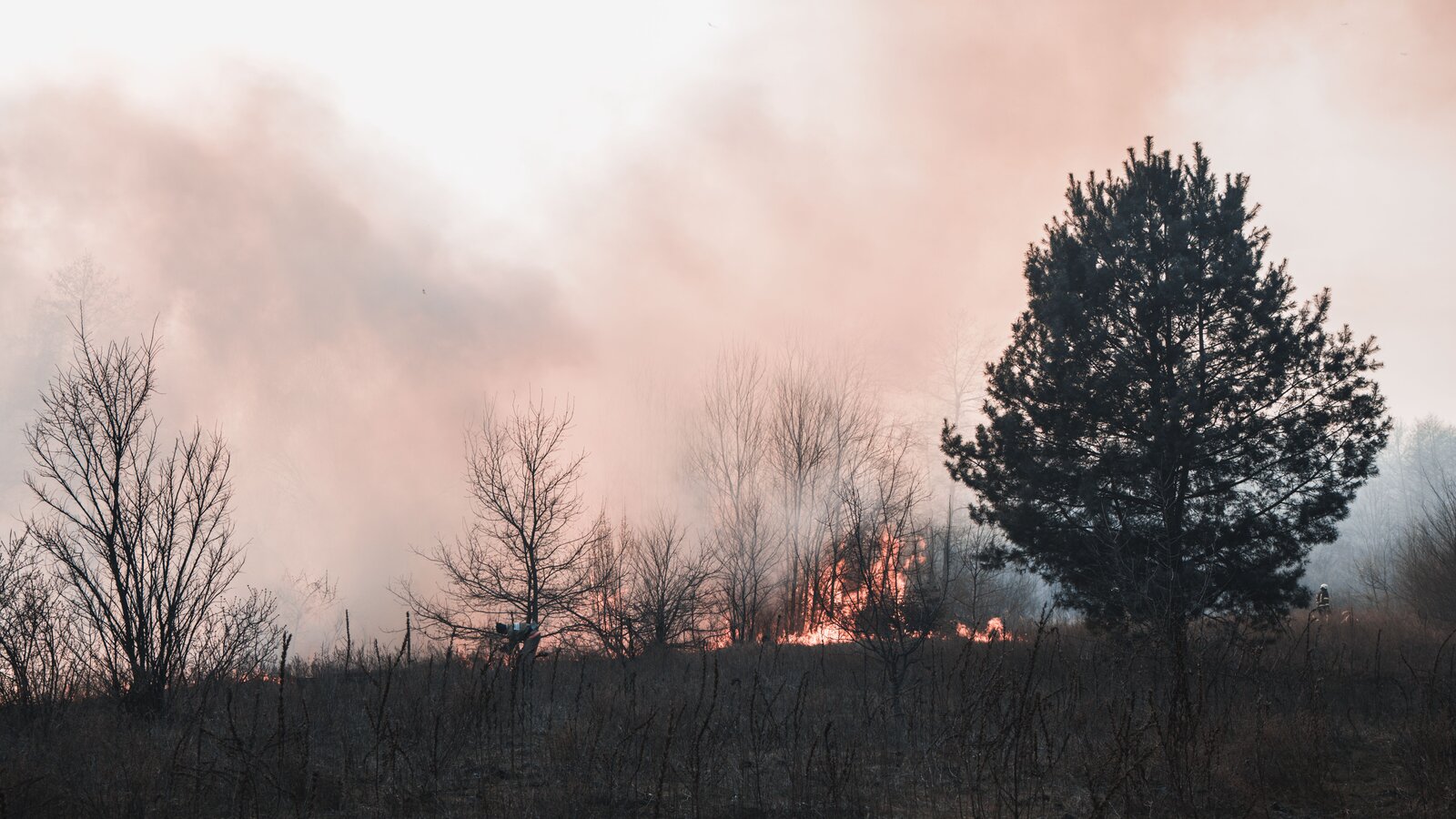 Feu de forêt et fumée dans un paysage boisé européen