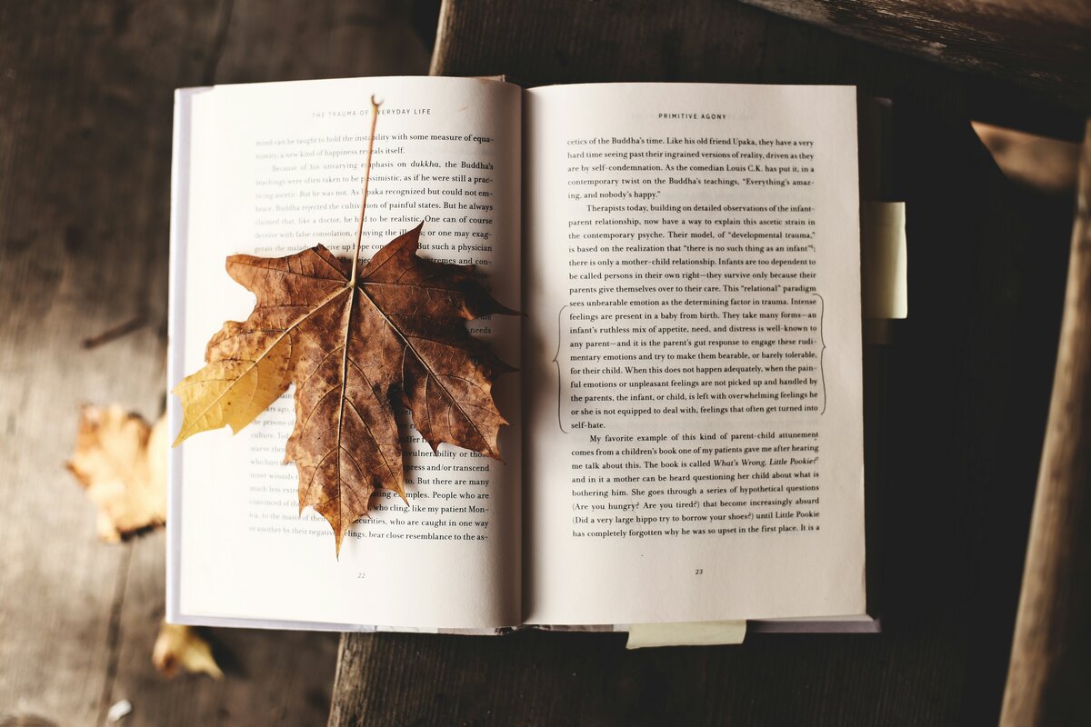 Livre ouvert avec une feuille d'automne